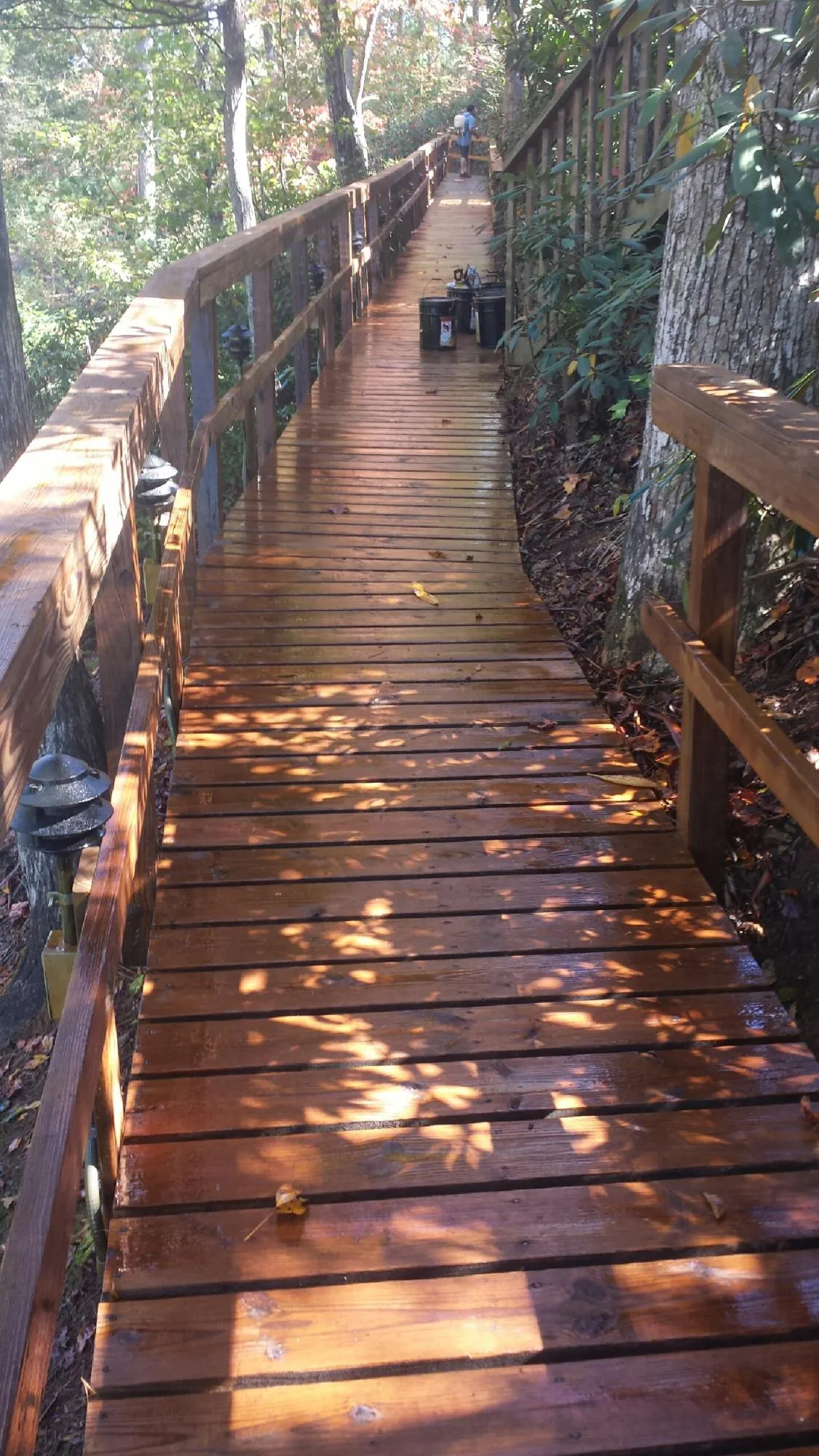 Freshly stained wood walkway winding through the woods in Hazelton
