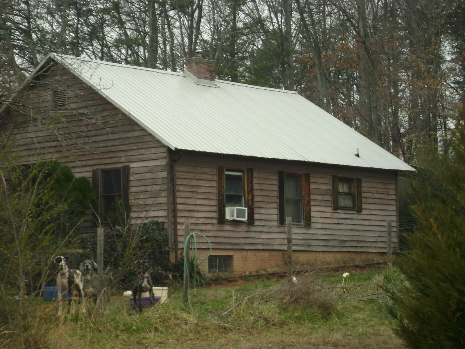 White metal roof on an old wood sided farmhouse, from a Metal Roof Installation job in Hazelton